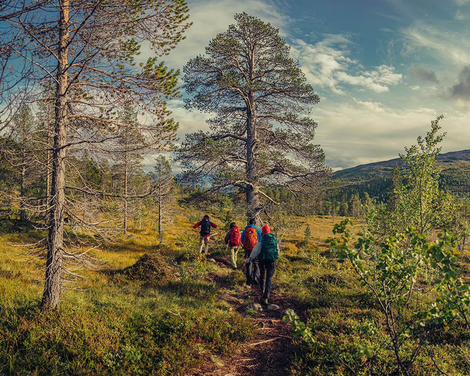Folk på tur med rygsække fra Gergory.