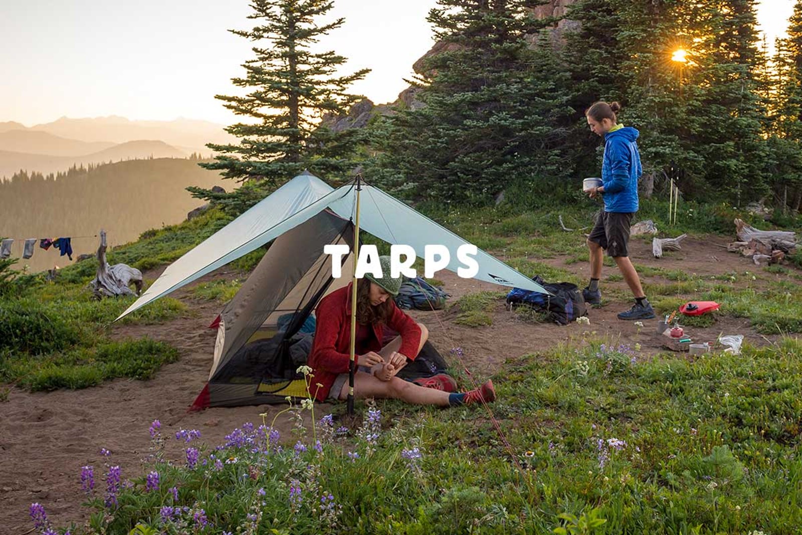 Tarps