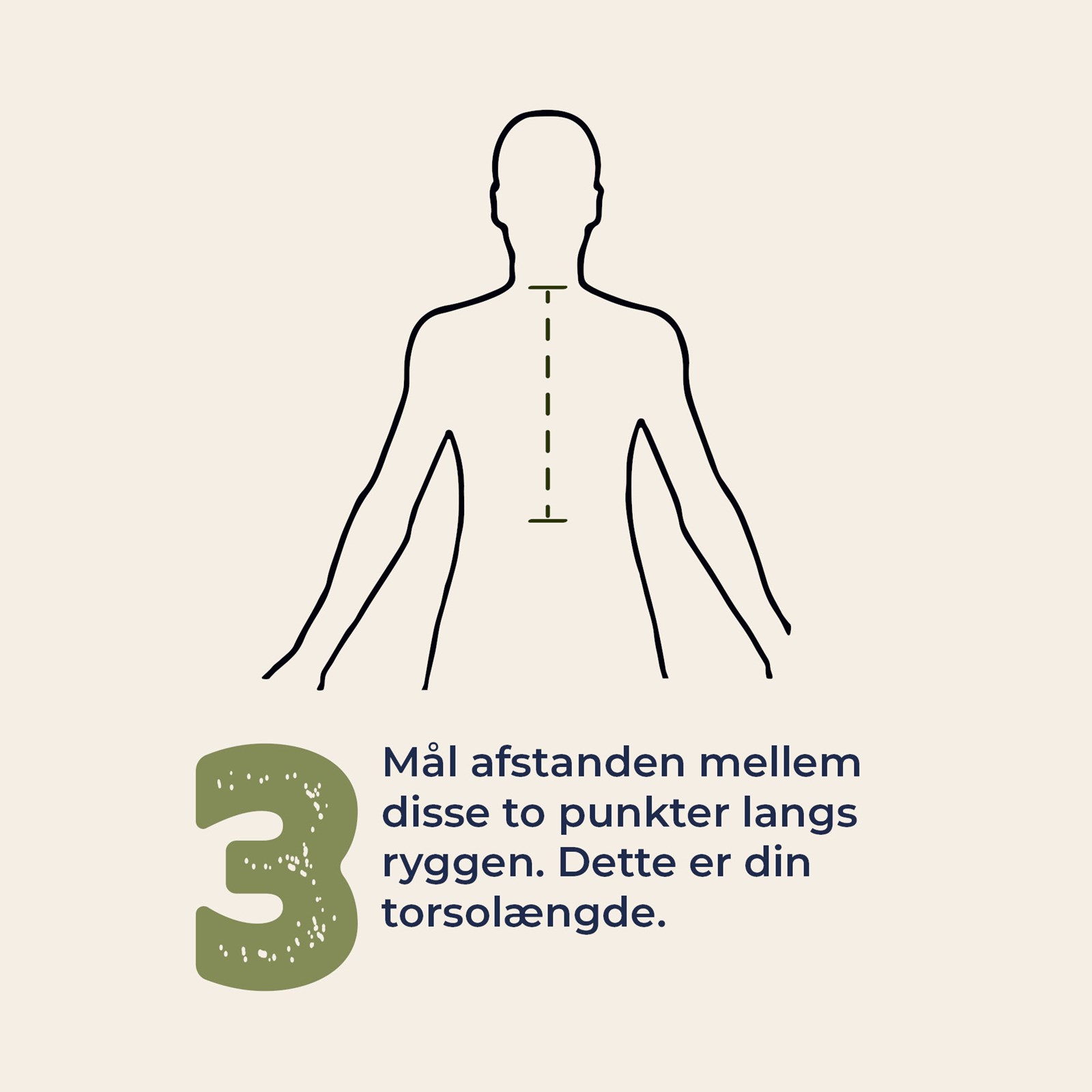 Illustration af step-by-step guide til at måle sin ryglængde.