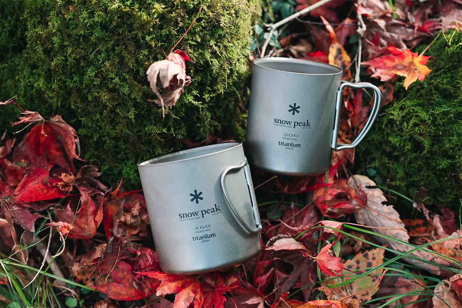 Snok Peaks Titaniumskopper omringet af efterårsblade og mos.
