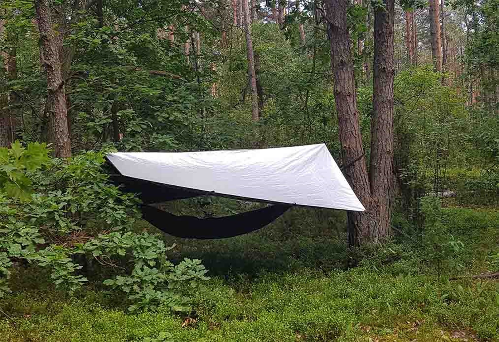 Thermo Tarp fra Bushmen sat op i skoven med thermo siden opad.