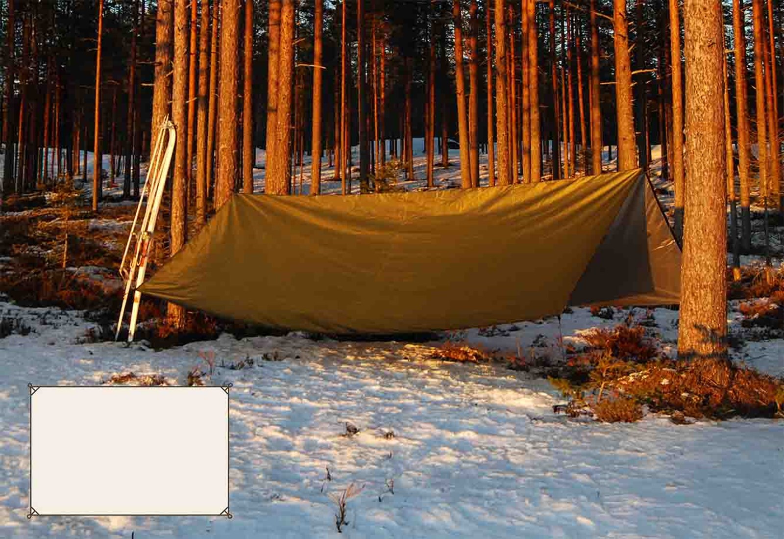 En tarp sat op i vinterlandskabet i skoven.