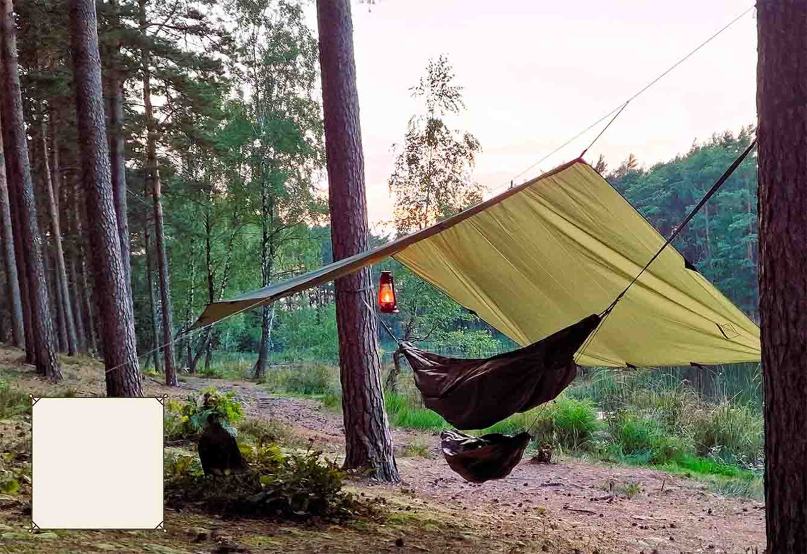 En tarp sat op med en hængekøje, blandt skovens træer.