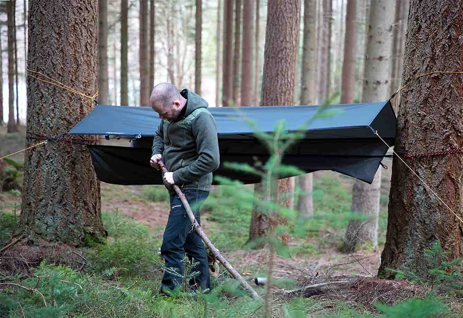 En mand, der har sat sin tarp op i skoven mellem to træer.