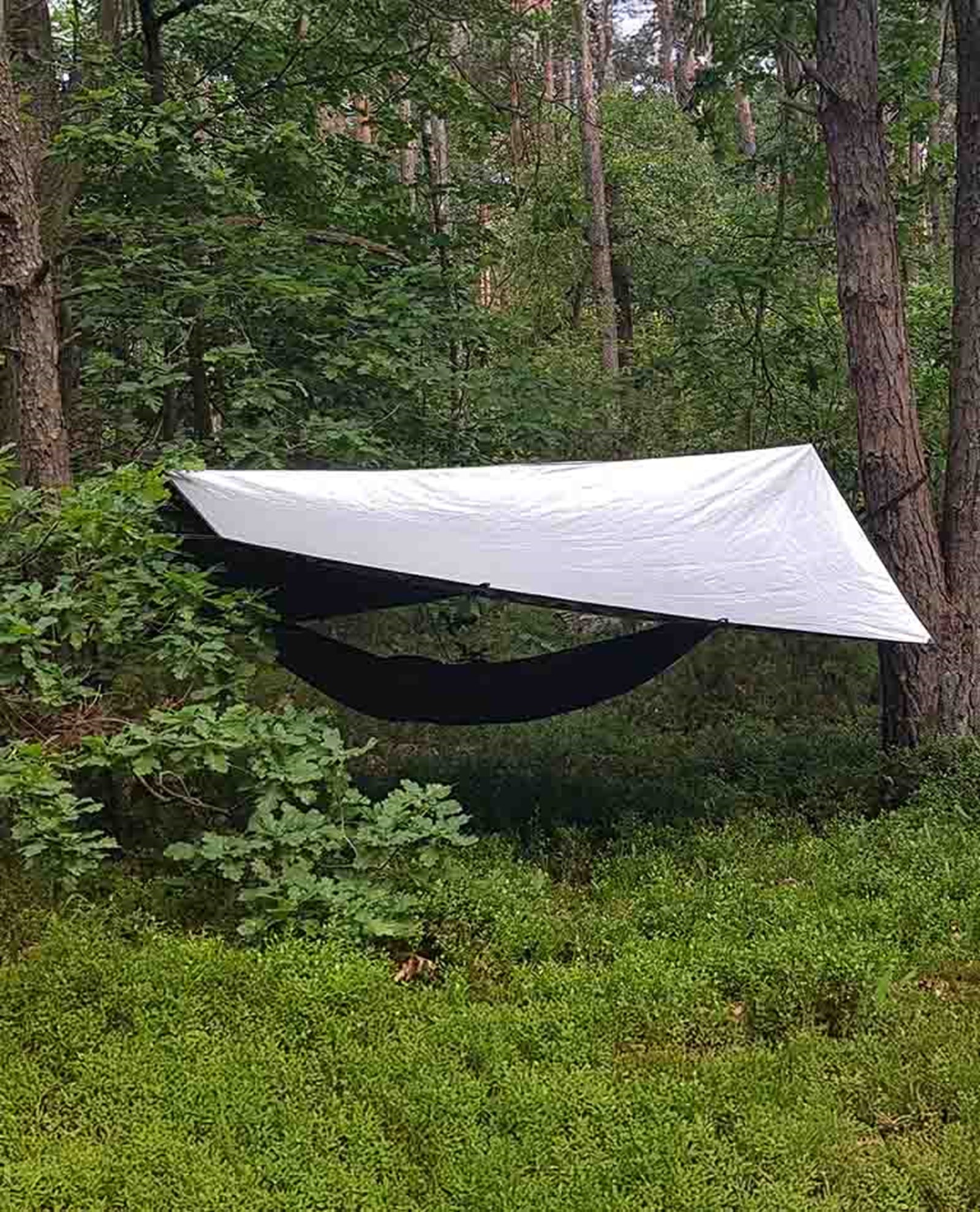 Bushmen Thermo tarp sat op i skoven, med thermosiden opad.