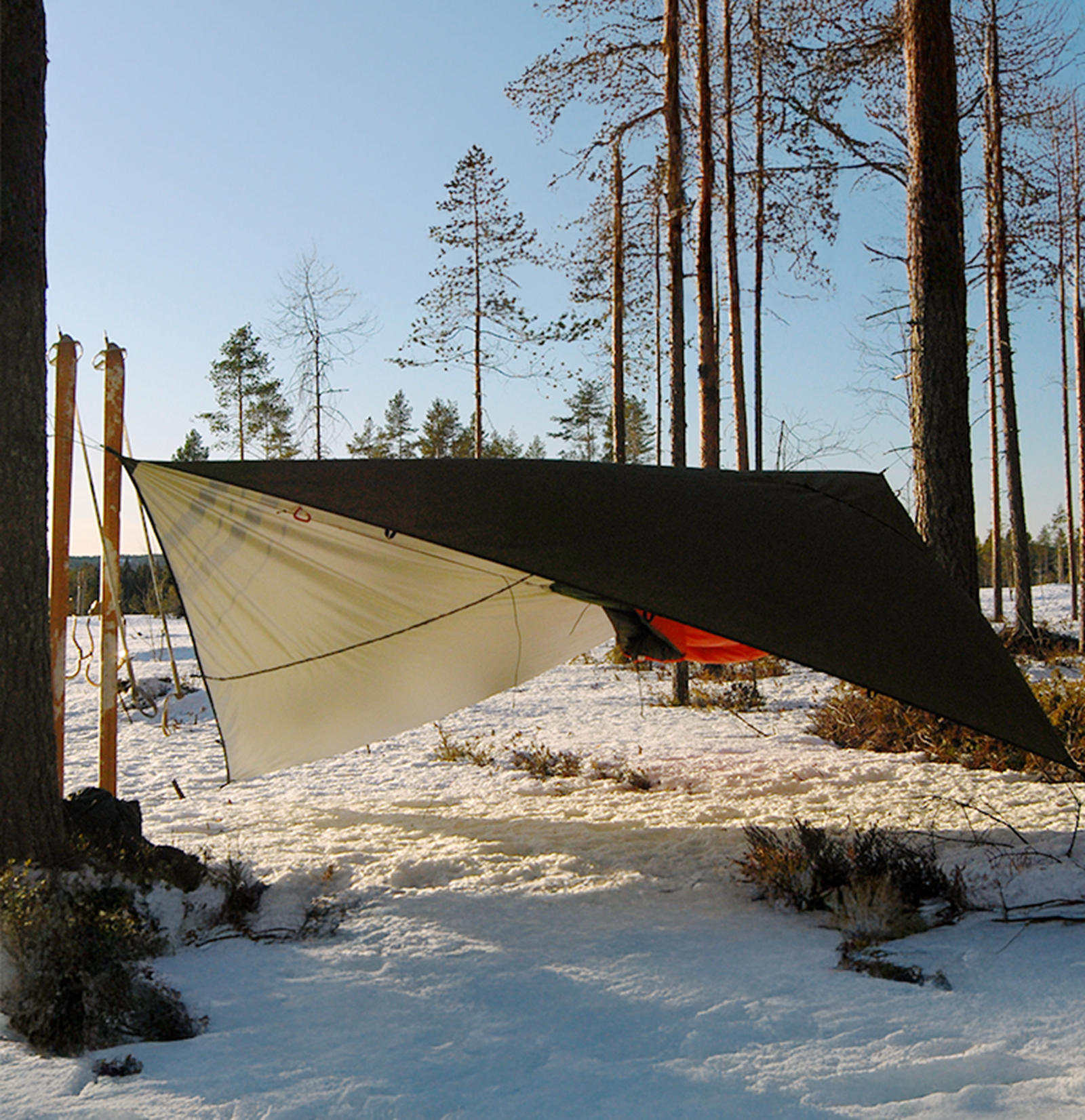 Tarp i vinterlandskab med hængekøje.