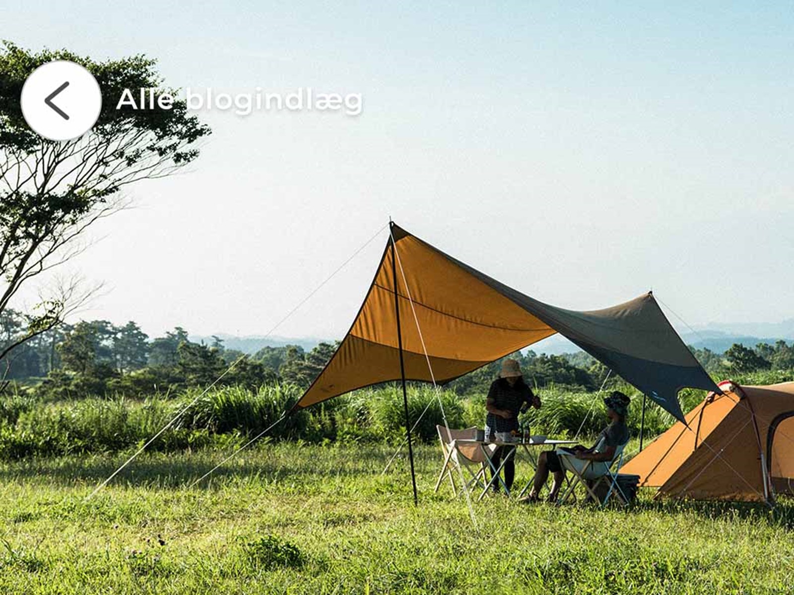 Mennesker der har sat en tarp op med sit telt i naturen.