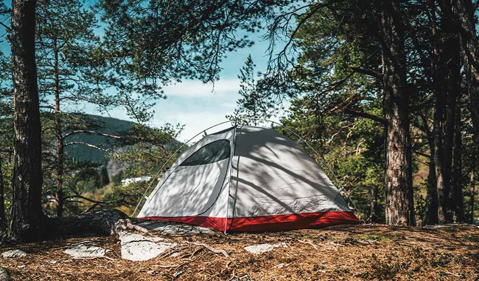 Et kuppeltelt i skoven, uden oversejl.