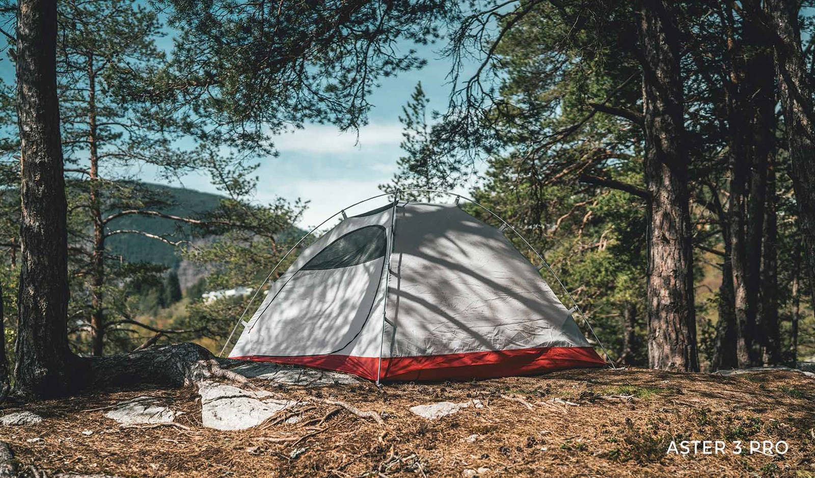 Teltet Aster midt i skoven