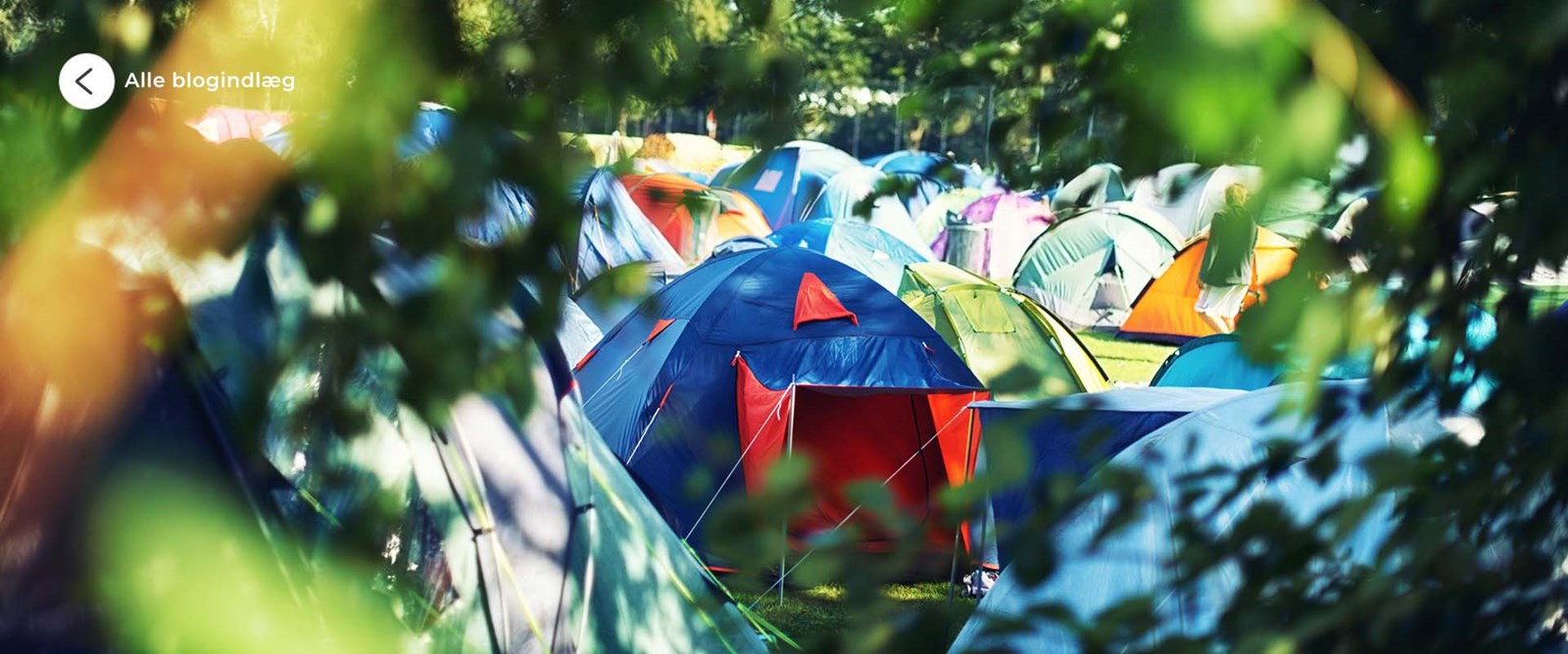 Et telt i fokus blandt mange telte på en festival.