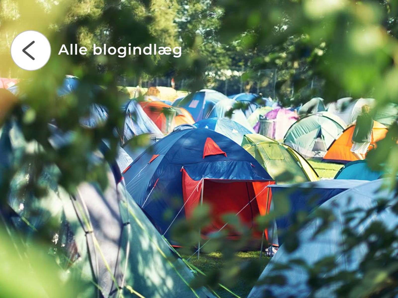 Et telt i fokus blandt mange telte på en festival.