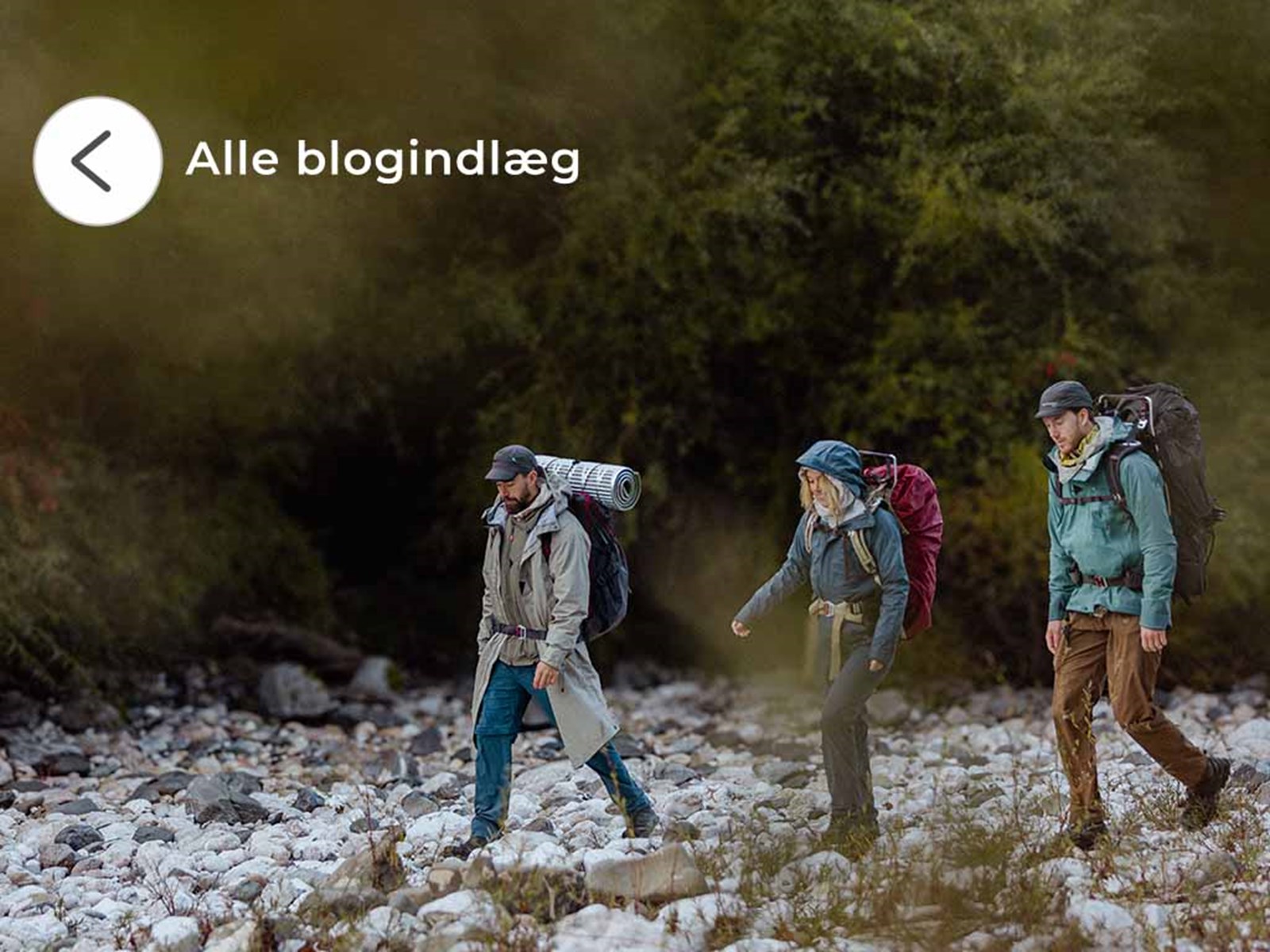 Tre vandrere ude i naturen