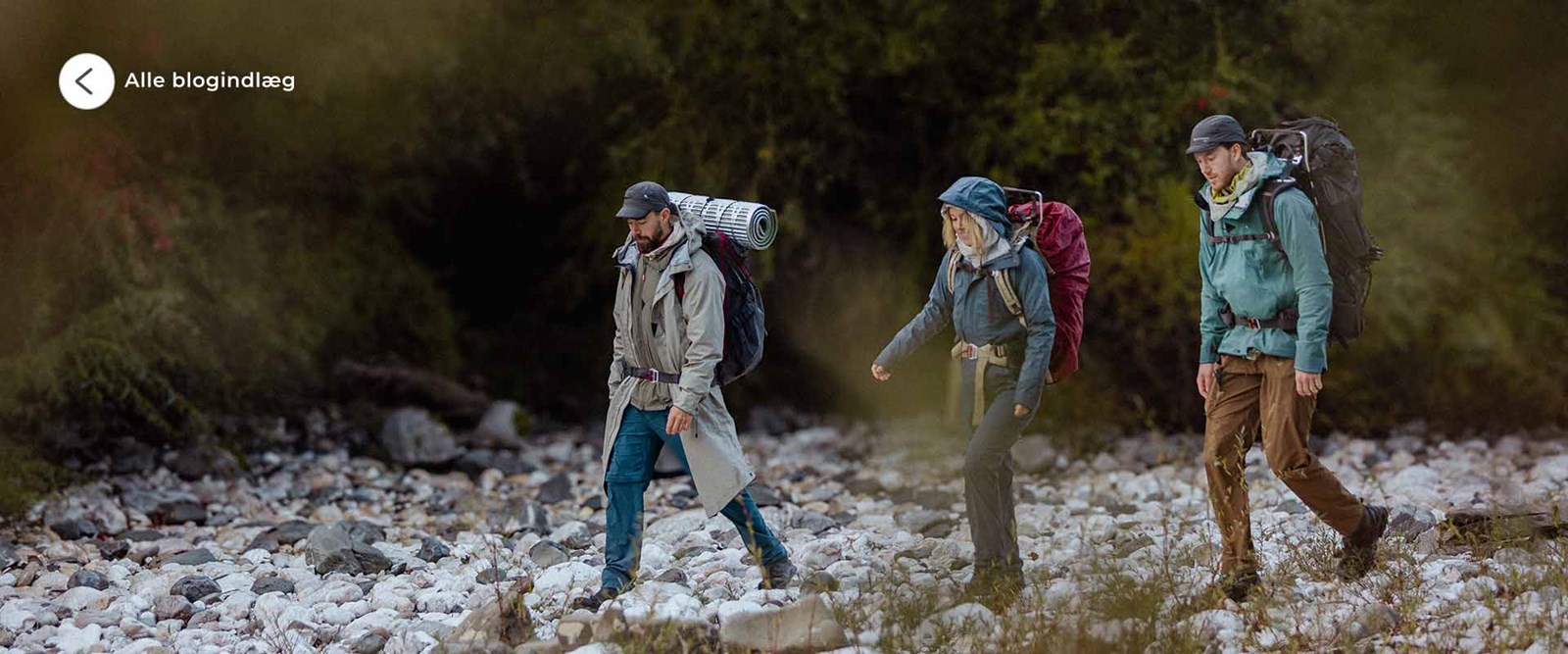 Tre vandrere ude i naturen