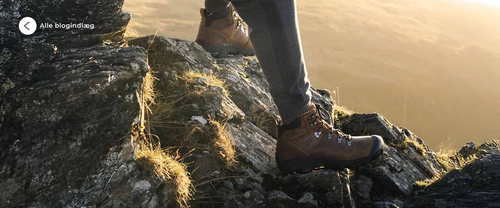 Se alle blogindlæg.