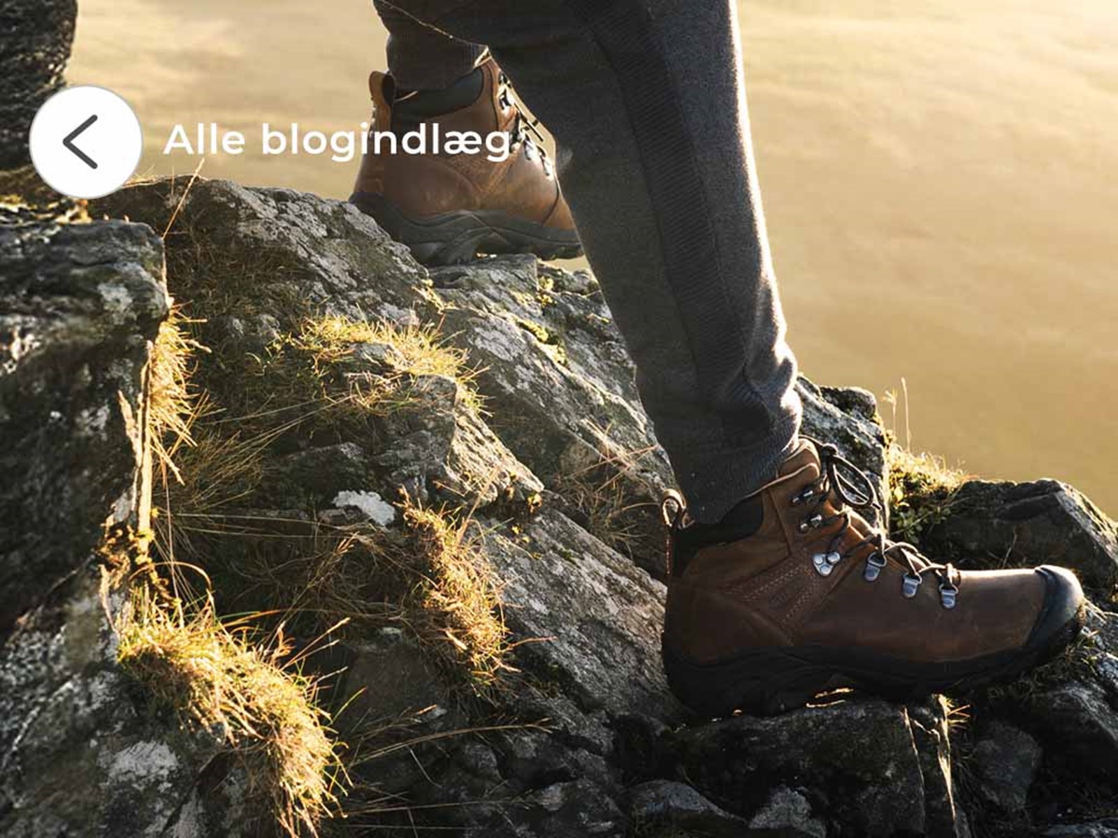 Se alle blogindlæg.