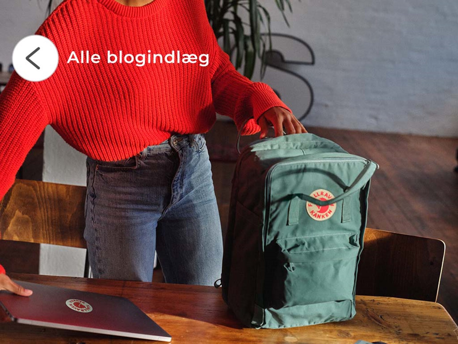 Se alle blogindlæg.