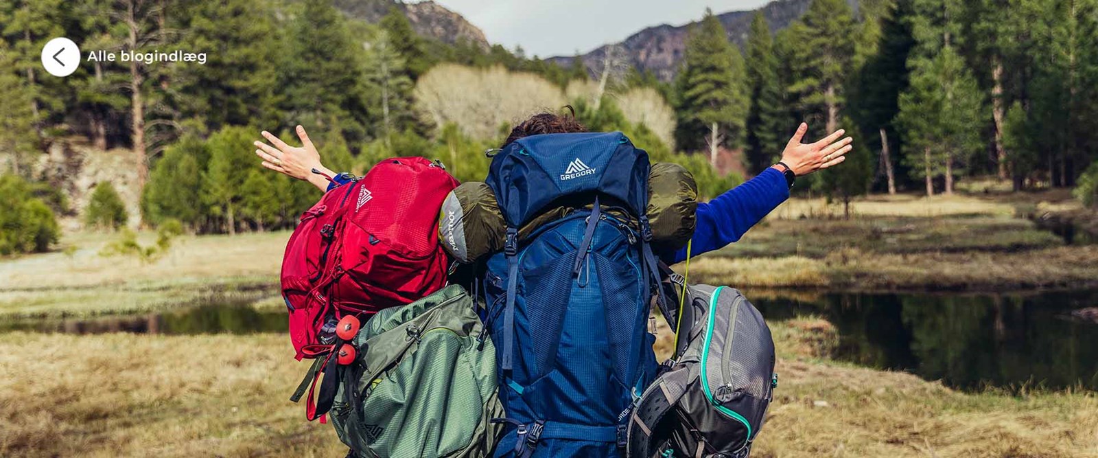 Se alle blogindlæg.