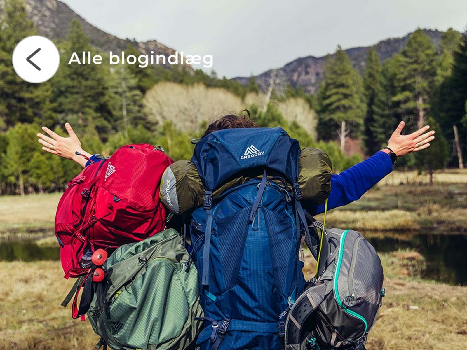 Se alle blogindlæg.