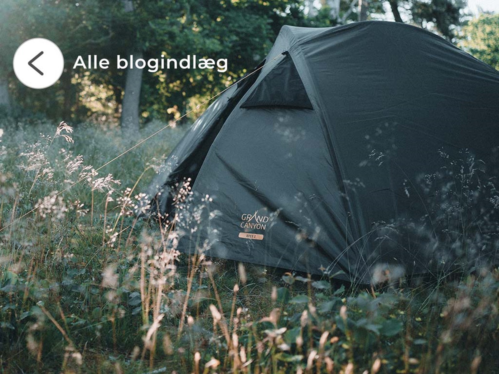 Apex 2 telt slået op ude i skoven