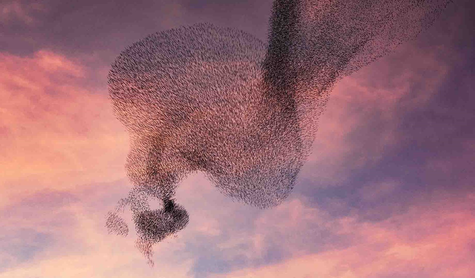 Sort sol i jylland. Se vandreruten her.