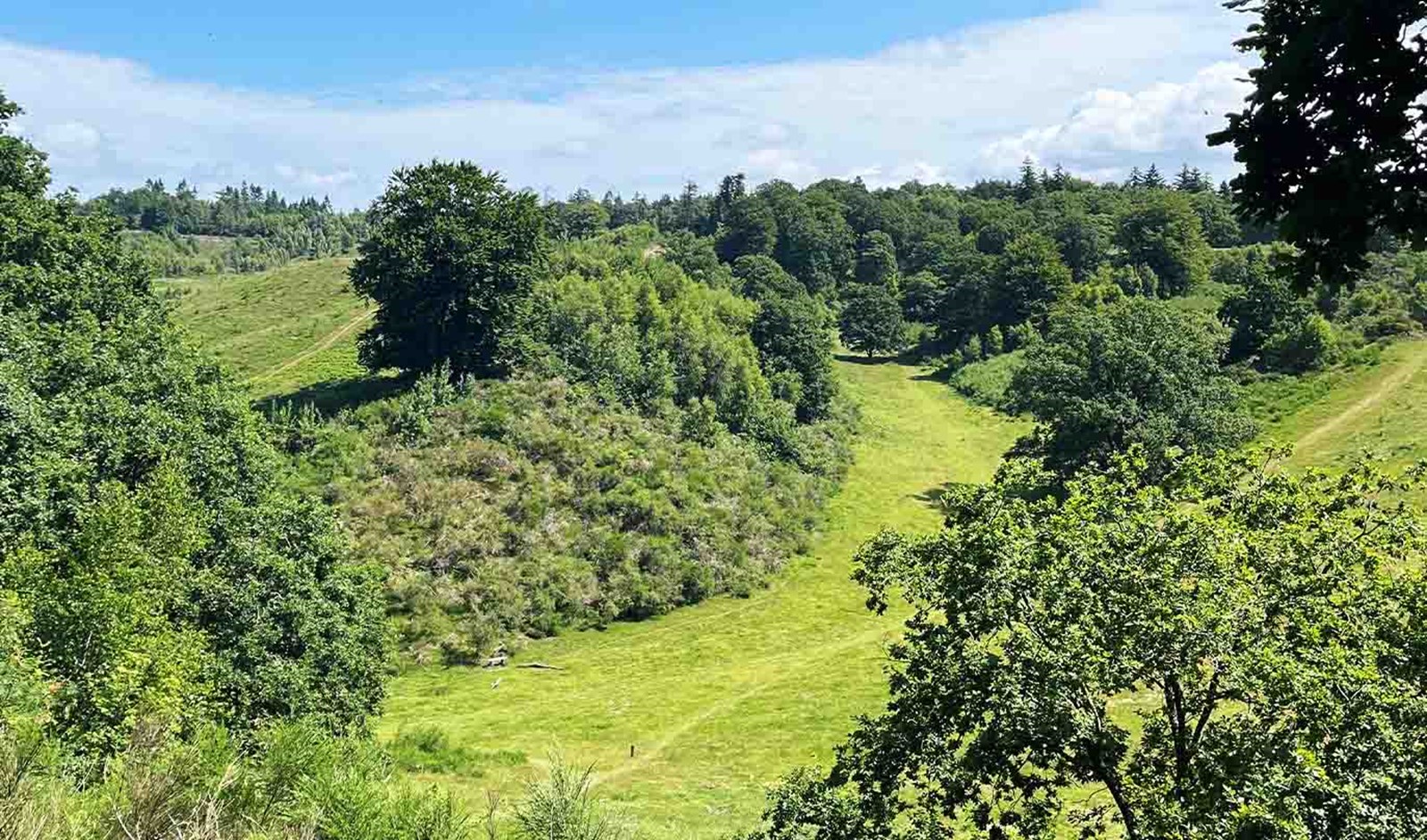 Svanninge bakker. Se vandreruten her.