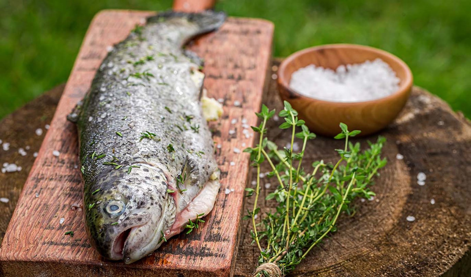 En havørred der er klar til tilberedning.