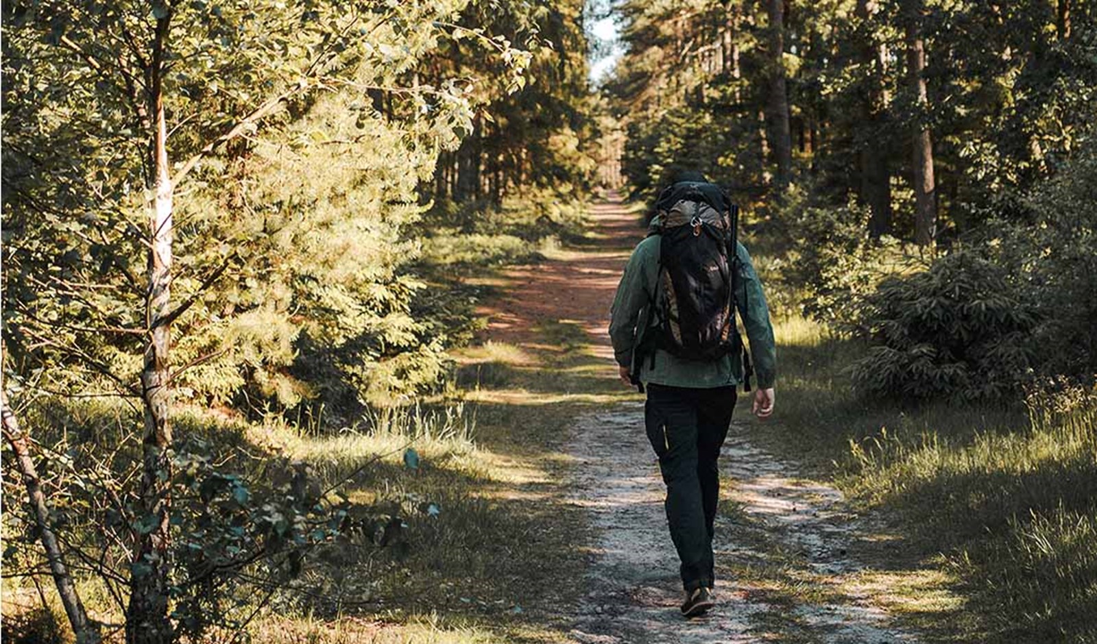 En person der vandrer i skoven.