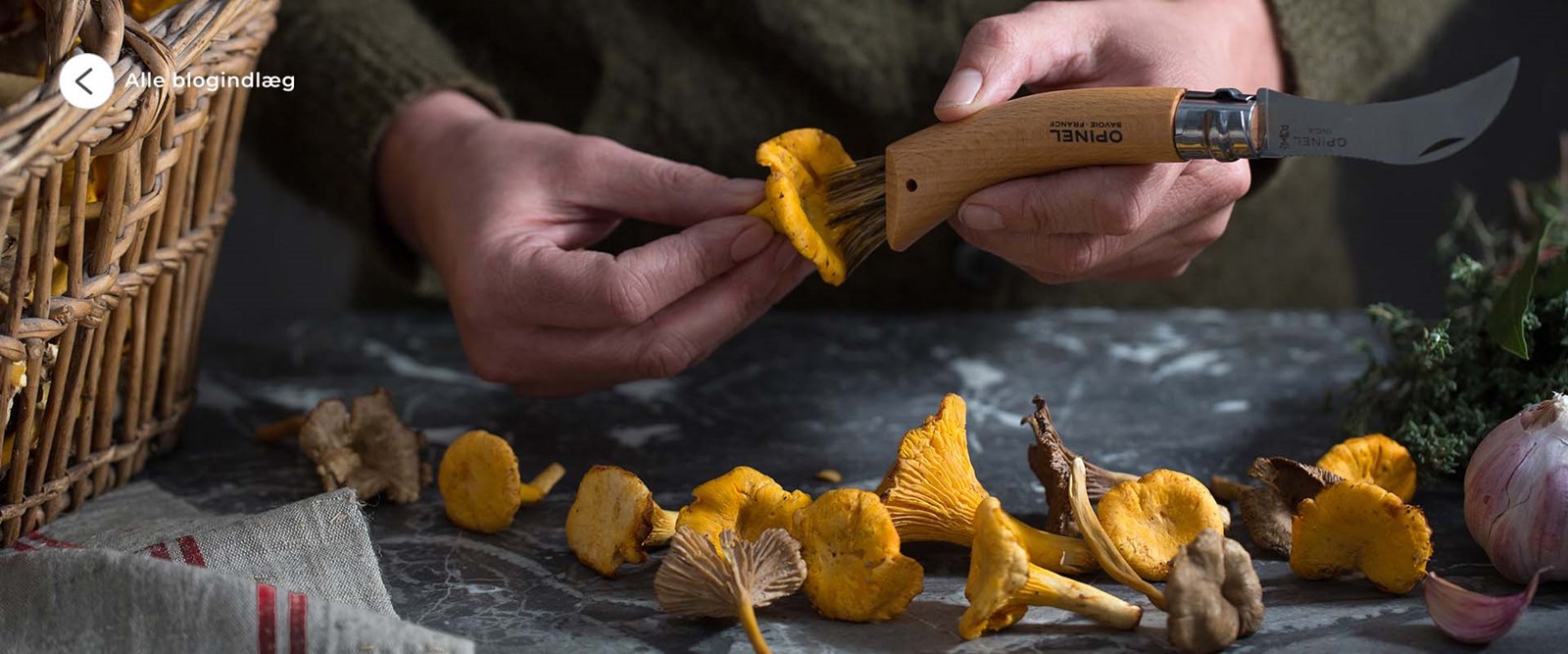 Se alle blogindlæg.