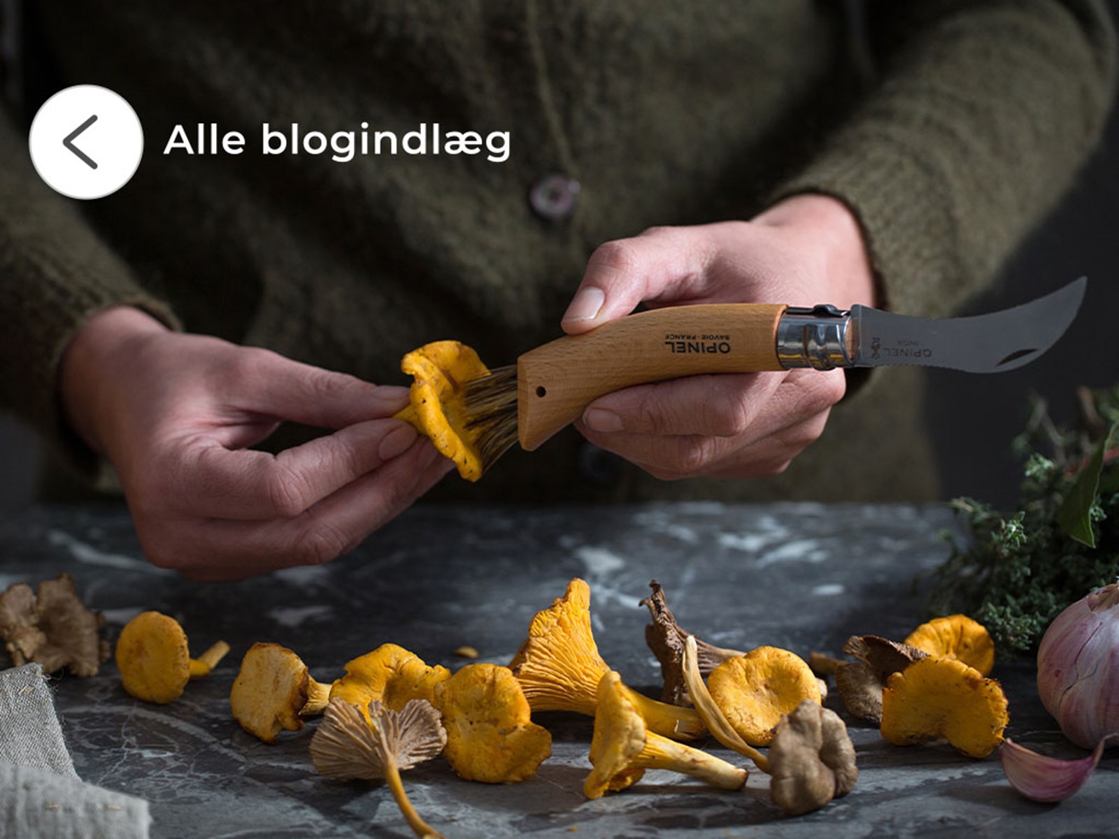 Se alle blogindlæg.