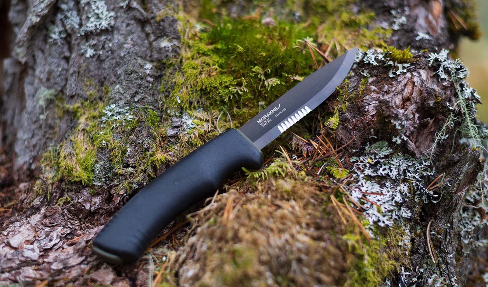 Morakniv Bushcraft Blackblade, der ligger ude i naturen.