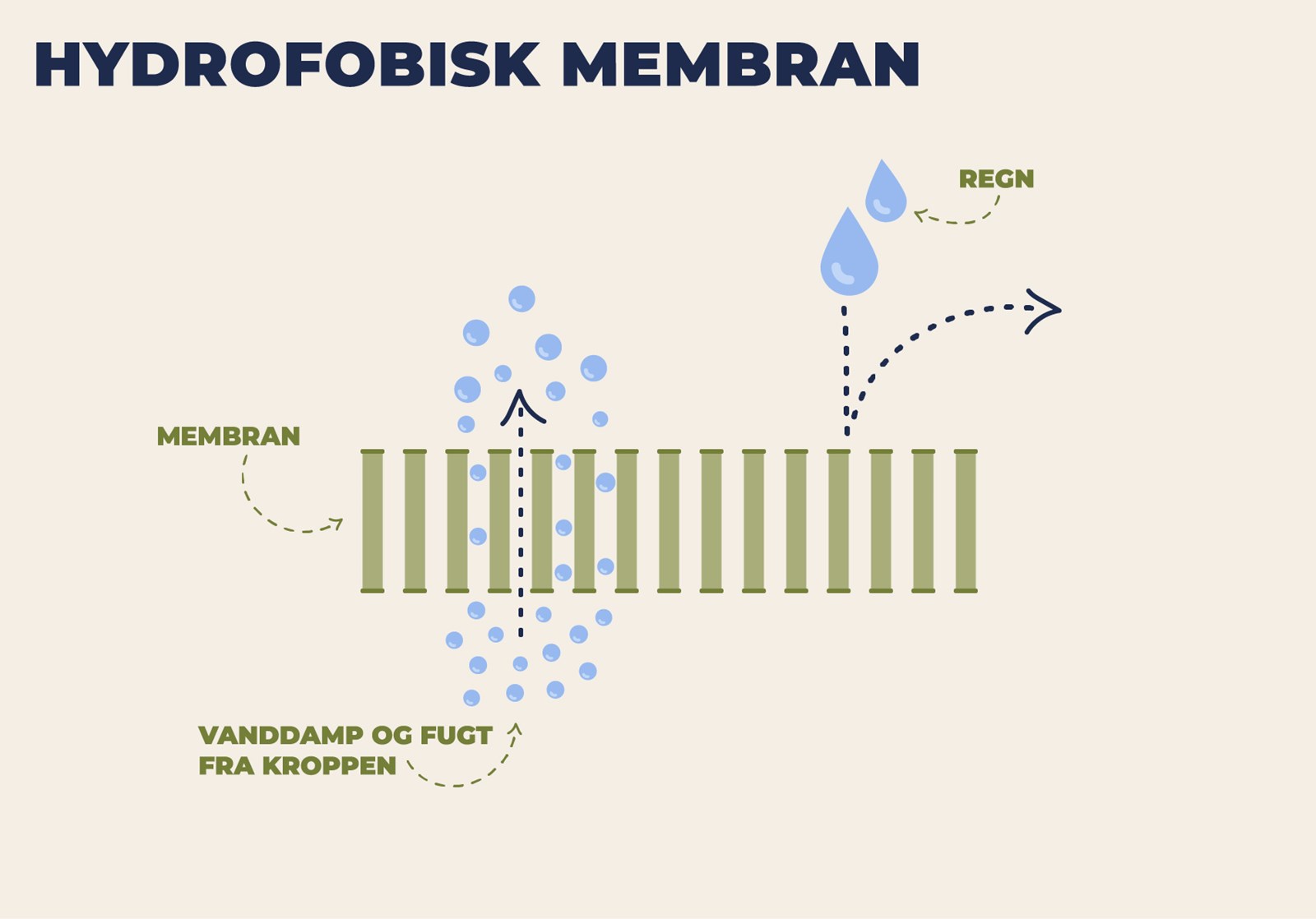 Illustration over teknologien i en hydrofobisk membran.