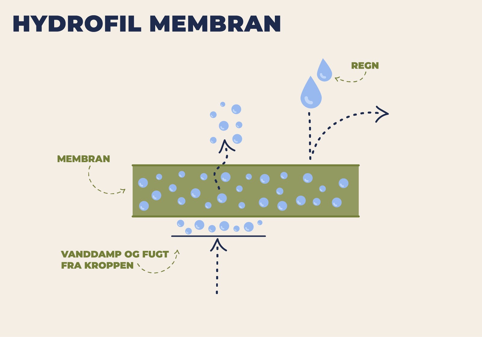 Illustration over teknologien i en hydrofil membran.
