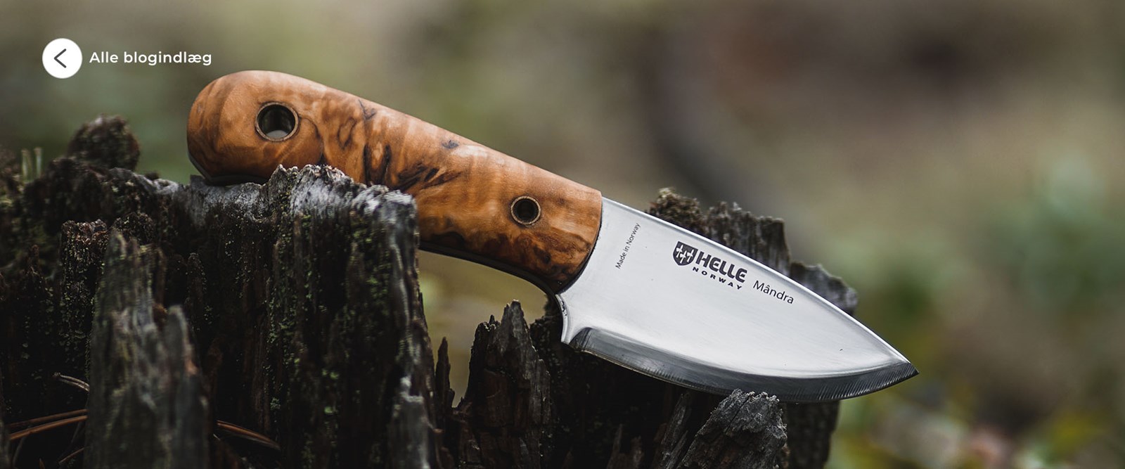 Se alle blogindlæg.