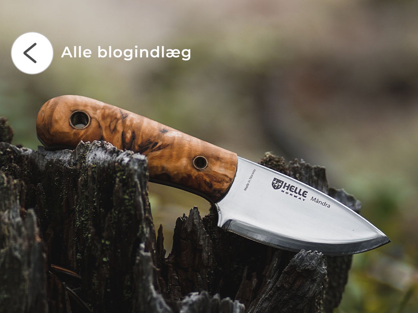 Se alle blogindlæg.