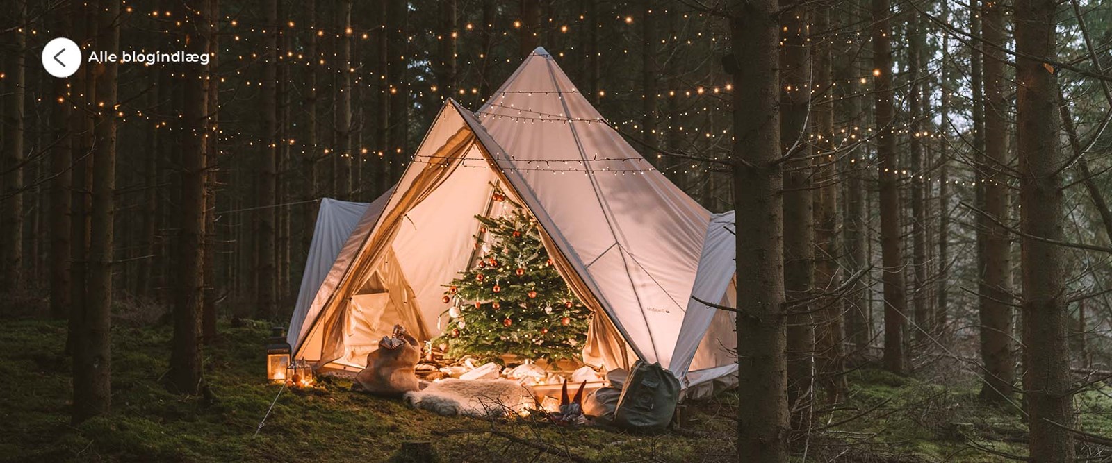 Se alle blogindlæg.