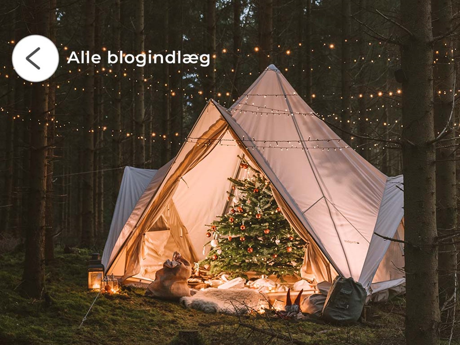 Se alle blogindlæg.