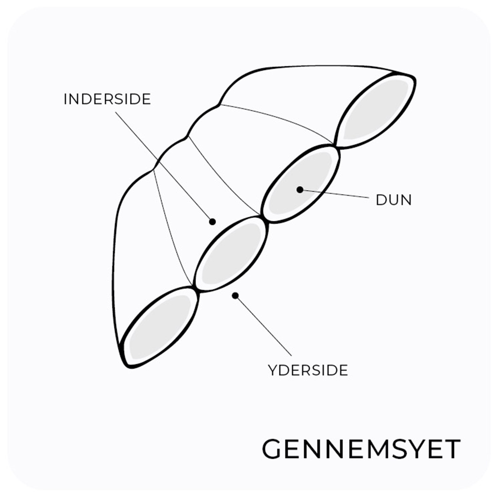 Illustration af en gennemsyet konstruktion.