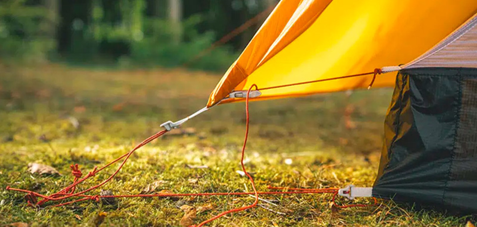 Nærbillede af teltets barduner.