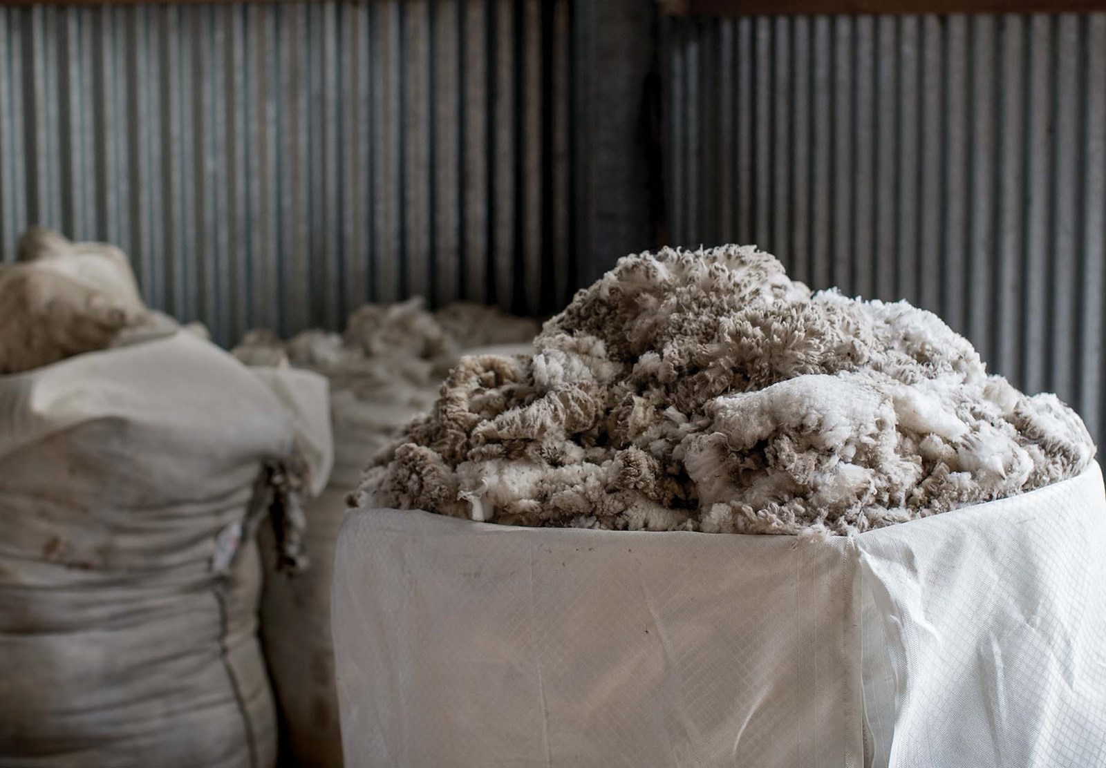 Merinould til fremstilling.