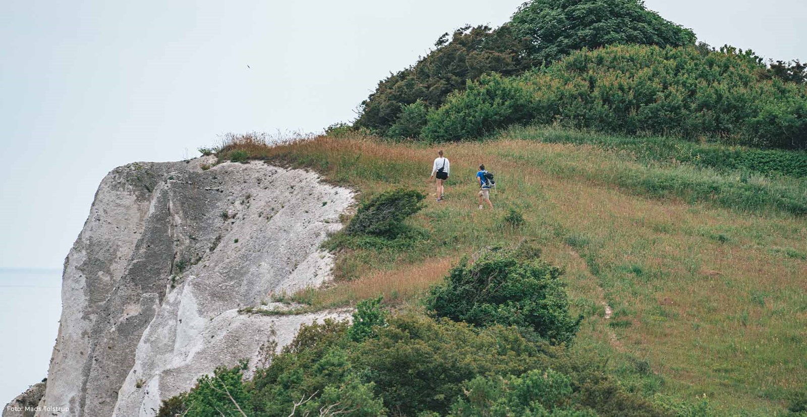 Camønoen.
