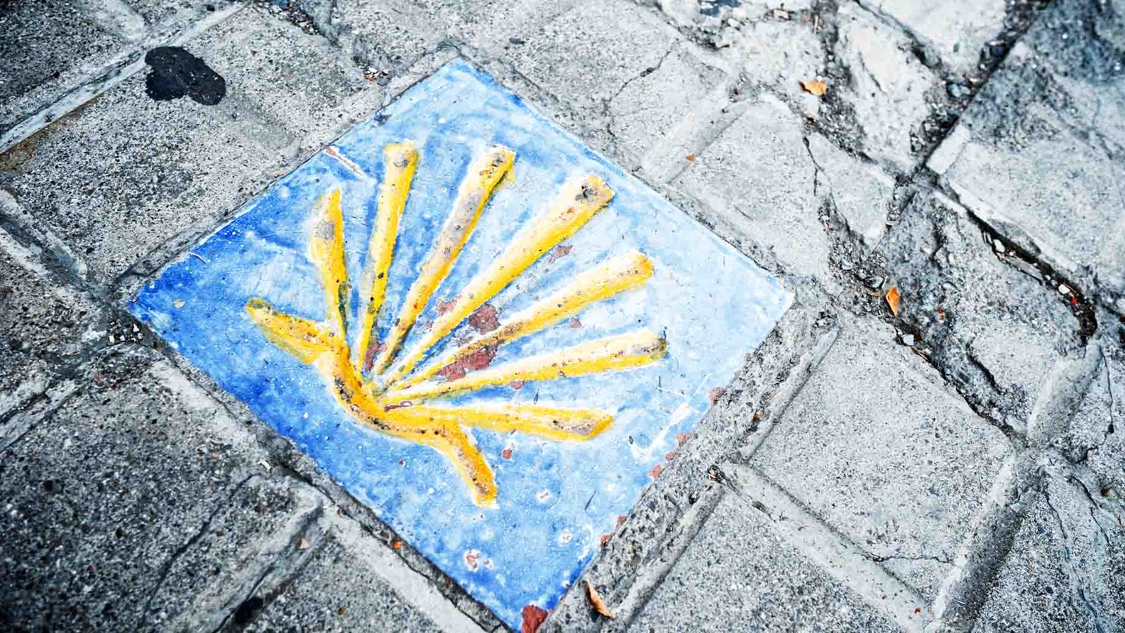 Camino symbolet på brosten.