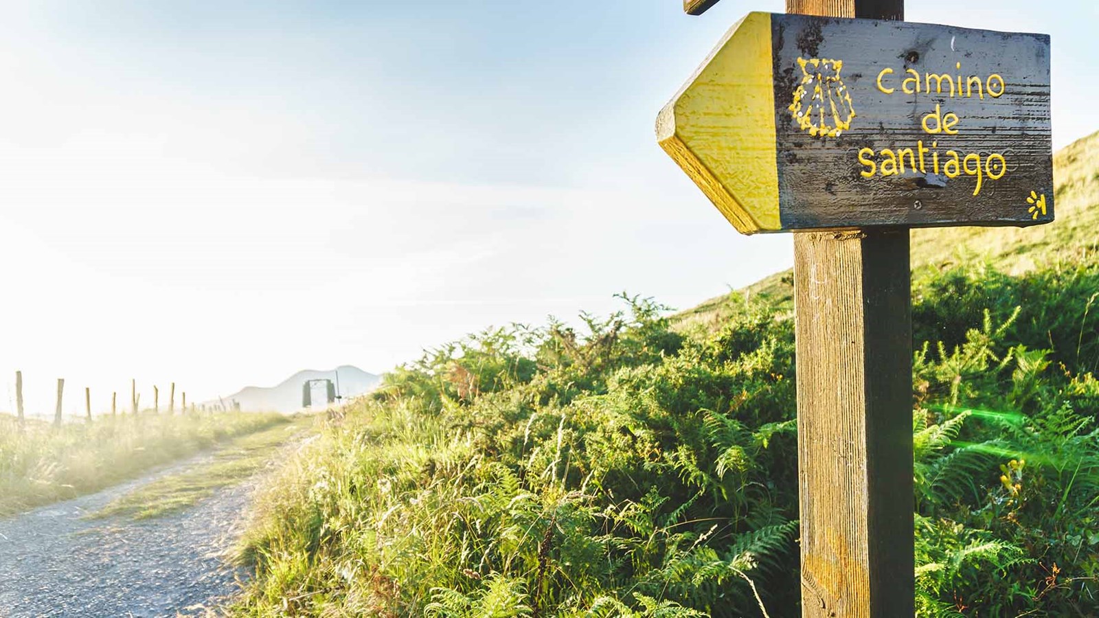 Camino de Santiago skilt langs en sti.