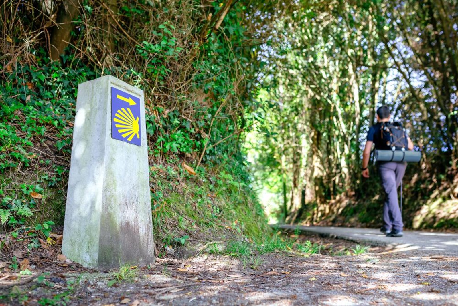 Person der vandrer forbi en caminosten.
