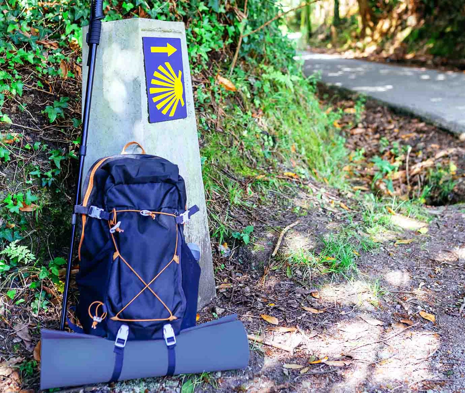 Rygsæk lænet op af Caminosten.
