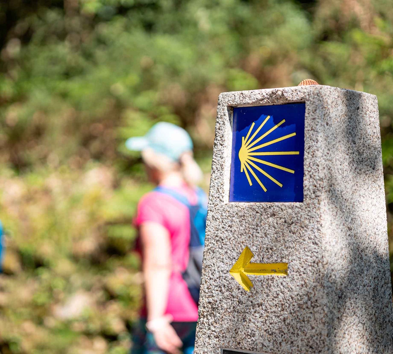 Caminosten.
