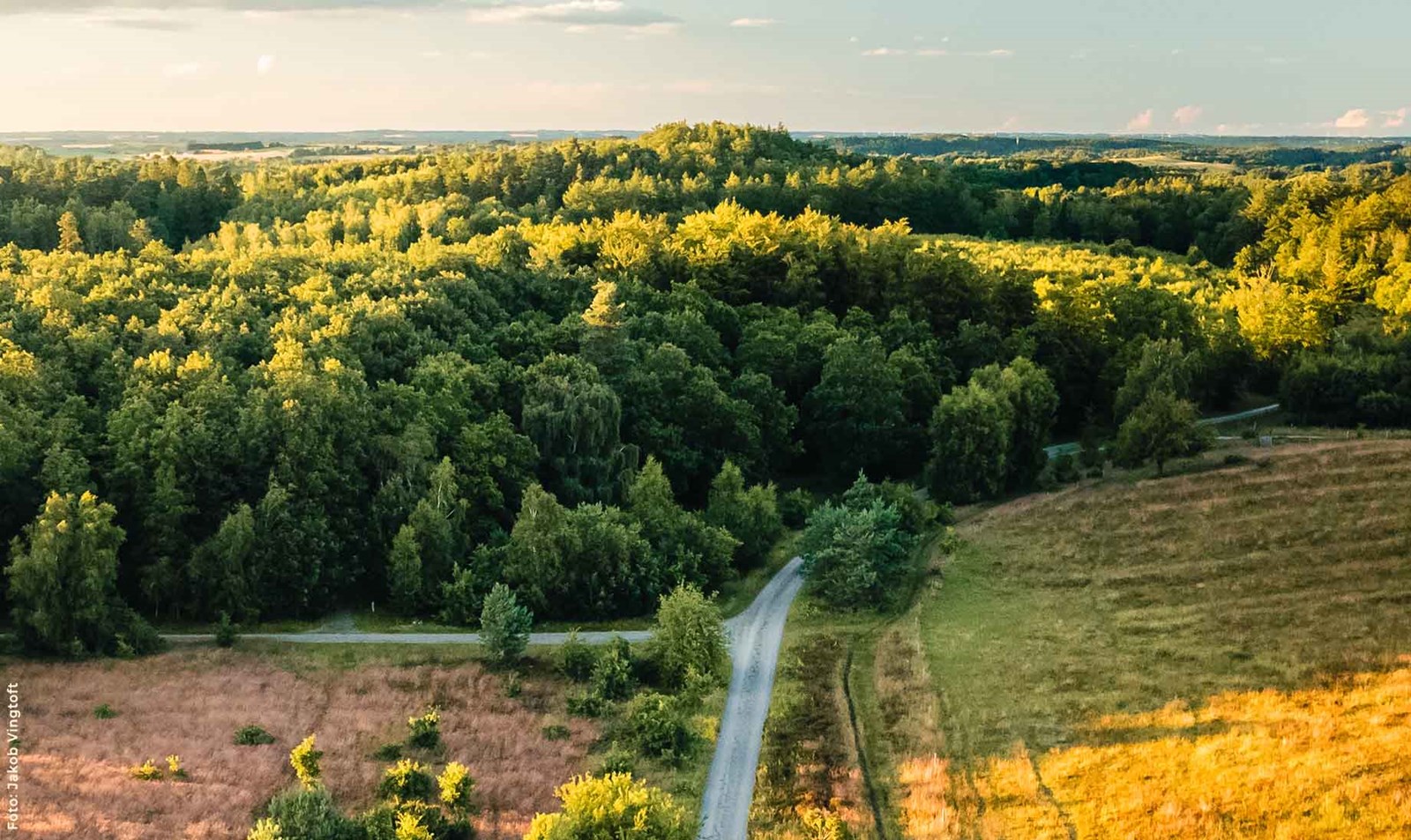Mols Bjerge Nationalpark.