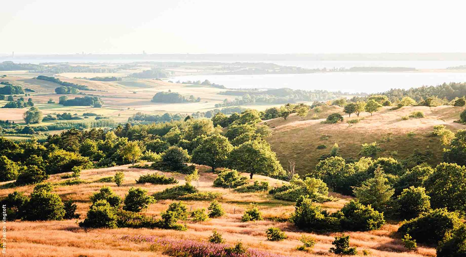 Mols Bjerge Nationalpark.