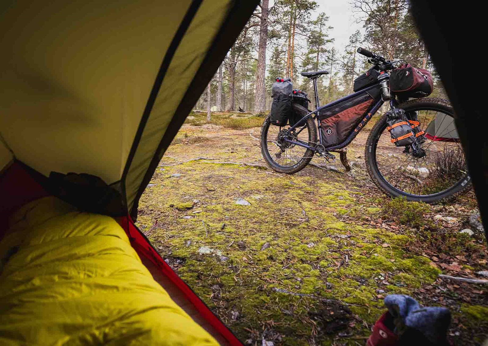 Cykel med oppakning set inde fra et telt.