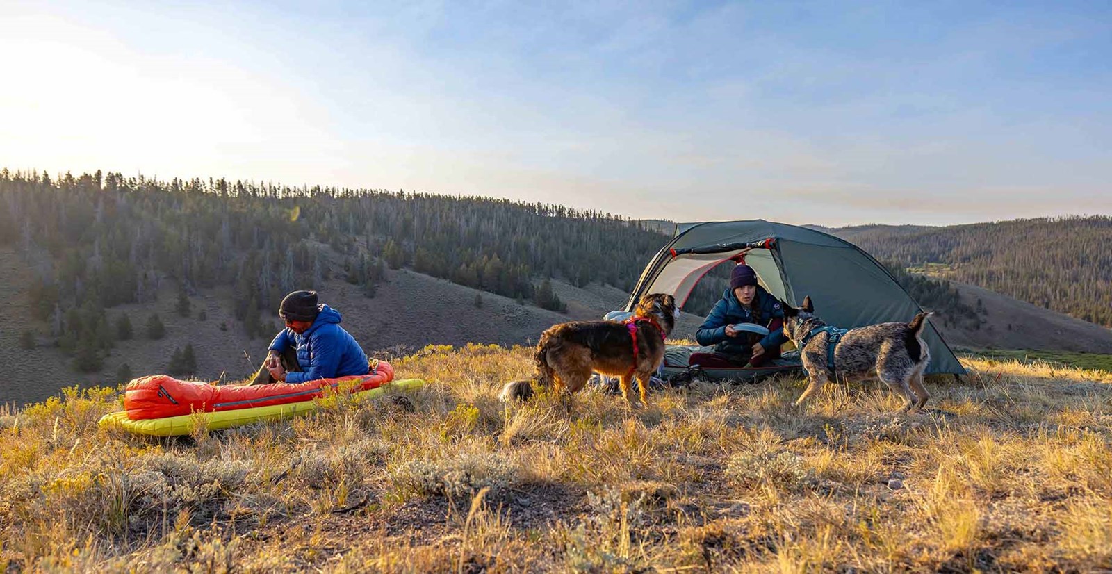 To personer med to hunde der camper i fjeldet med Big Agnes.