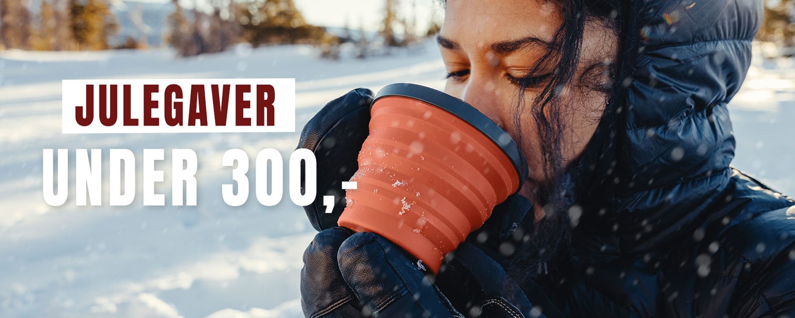 Julegave idéer til under 300 kr.